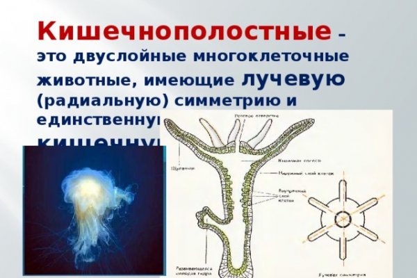 Украли аккаунт блэк спрут