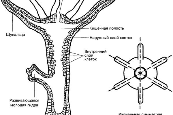 Новый сайт blacksprut bs2web top