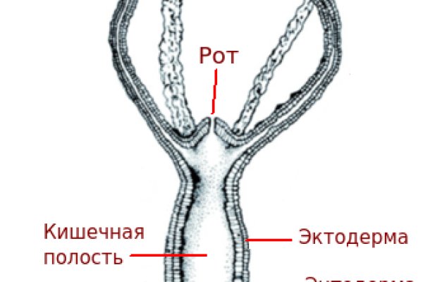 Блэк спрут шоп