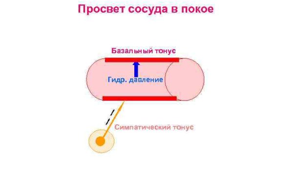 Блэкспрут 2fa bs2webes net