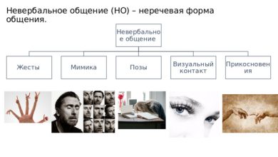 Photo of Основы невербальной коммуникации